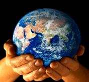 At TLR we help you see the big picture!